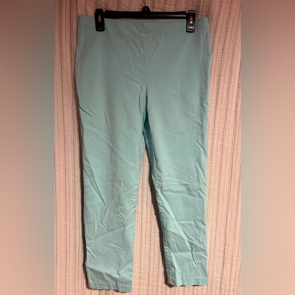 Attyre Aqua Petite Pull-on Pants